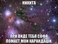 Никита при виде тебя софа ломает мои карандаши.