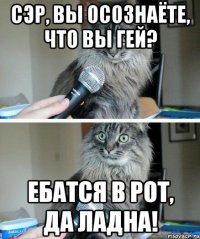 сэр, вы осознаёте, что вы гей? ебатся в рот, да ладна!