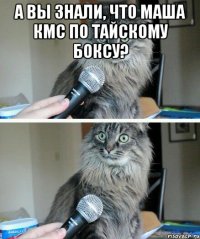 а вы знали, что маша кмс по тайскому боксу? 