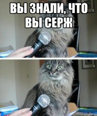 вы знали, что вы серж 