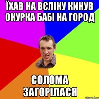 їхав на вєліку кинув окурка бабі на город солома загорілася