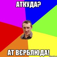 аткуда? ат вєрблюда!