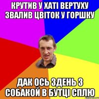 крутив у хаті вертуху звалив цвіток у горшку дак ось 3день з собакой в бутці сплю