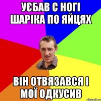 уєбав с ногі шаріка по яйцях він отвязався і мої одкусив