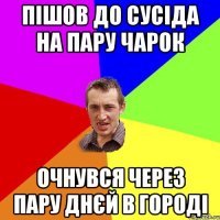 пішов до сусіда на пару чарок очнувся через пару днєй в городі