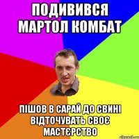 подивився мартол комбат пішов в сарай до свині відточувать своє мастєрство