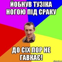 йобнув тузіка ногою під сраку до сіх пор не гавкає!