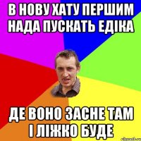 в нову хату першим нада пускать едіка де воно засне там і ліжко буде