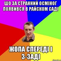 шо за странний осміног появився в райском саді жопа спереді і з-заді