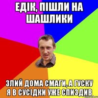 едік, пішли на шашлики злий дома смаги, а гуску я в сусідки уже спиздив