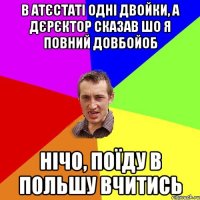 в атєстаті одні двойки, а дєрєктор сказав шо я повний довбойоб нічо, поїду в польшу вчитись