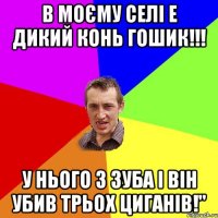 в моєму селі е дикий конь гошик!!! у нього 3 зуба і він убив трьох циганів!"