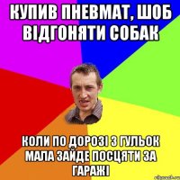 купив пневмат, шоб відгоняти собак коли по дорозі з гульок мала зайде посцяти за гаражі