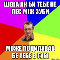 шева як би тебе не пес між зуби може поцилував бе тебе в губі