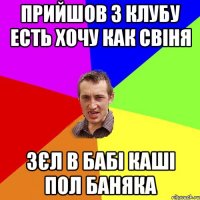 прийшов з клубу есть хочу как свіня зєл в бабі каші пол баняка