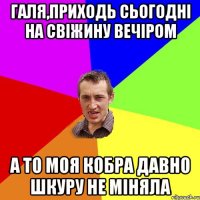 галя,приходь сьогодні на свіжину вечіром а то моя кобра давно шкуру не міняла