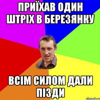 приїхав один штріх в березянку всім силом дали пізди