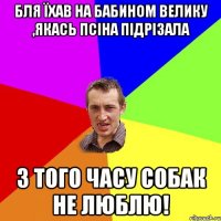 бля їхав на бабином велику ,якась псіна підрізала з того часу собак не люблю!