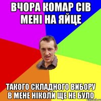 вчора комар сів мені на яйце такого складного вибору в мене ніколи ще не було