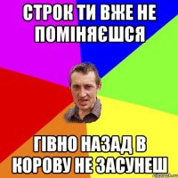 строк ти вже не поміняєшся гівно назад в корову не засунеш