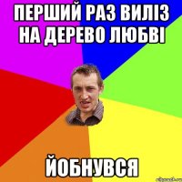 перший раз виліз на дерево любві йобнувся