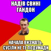 НАДІВ СВИНІ ГАНДОН НАЧАЛА ВИЗЖАТЬ, СУСІЛИ НЕ ТЕ ПОДУМАДИ