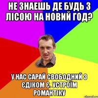 не знаешь де будь з лісою на новий год? у нас сарай свободний з Єдіком є. устроїм романтіку