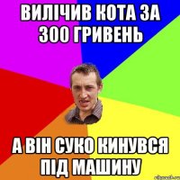 Вилічив кота за 300 гривень А він суко кинувся під машину