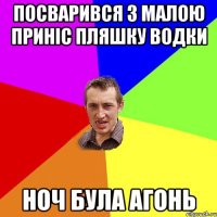 посварився з малою приніс пляшку водки ноч була агонь