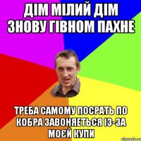 Дім мілий дім знову гівном пахне треба самому посрать по кобра завоняеться із-за моєй купи