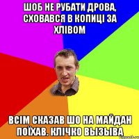 ШОБ НЕ РУБАТИ ДРОВА, СХОВАВСЯ В КОПИЦІ ЗА ХЛІВОМ ВСІМ СКАЗАВ ШО НА МАЙДАН ПОЇХАВ. Клічко вызыва