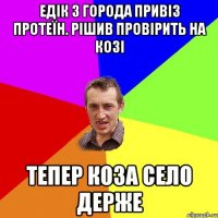 едік з города привіз протеїн. рішив провірить на козі тепер коза село держе