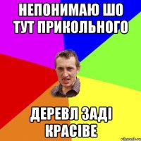 непонимаю ШО тут ПРИКОЛЬНОГО ДЕРЕВЛ ЗАДІ КРАСІВЕ