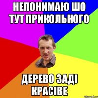 непонимаю ШО тут ПРИКОЛЬНОГО ДЕРЕВО ЗАДІ КРАСІВЕ