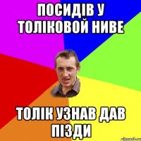 Посидів у толіковой ниве толік узнав дав пізди