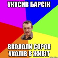 Укусив Барсік Вкололи сорок уколів в живіт