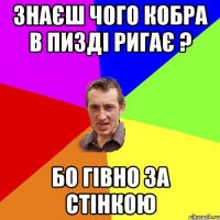 знаєш чого кобра в пизді ригає ? бо гівно за стінкою