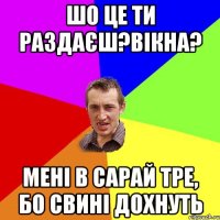 Шо це ти раздаєш?Вікна? Мені в сарай тре, бо свині дохнуть