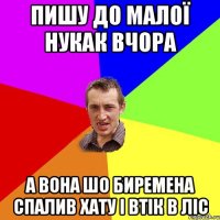 пишу до малої нукак вчора а вона шо биремена спалив хату і втік в ліс