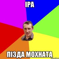 Іра Пізда мохната