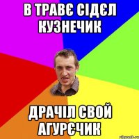 в травє сідєл кузнечик драчіл свой агурєчик