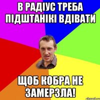 В РАДІУС ТРЕБА ПІДШТАНІКІ ВДІВАТИ ЩОБ КОБРА НЕ ЗАМЕРЗЛА!