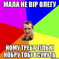 МАЛА НЕ ВІР ОЛЕГУ ЙОМУ ТРЕБА ТІЛЬКІ КОБРУ ТОБІ ВСУНУТЬ