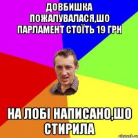 Довбишка пожалувалася,шо парламент стоїть 19 грн На лобі написано,шо стирила