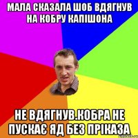 мала сказала шоб вдягнув на кобру капішона не вдягнув.кобра не пускає яд без пріказа