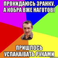 прокидаюсь зранку, а кобра вже наготові пришлось успакаівать руками