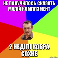 не получилось сказать малій комплэмент 2 неділі кобра сохне