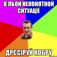 в лбой непонятной ситуації дрєсіруй кобру