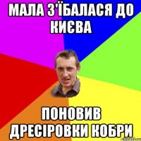 мала з'їбалася до києва поновив дресіровки кобри