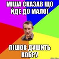 МІША СКАЗАВ ЩО ЙДЕ ДО МАЛОЇ ПІШОВ ДУШИТЬ КОБРУ